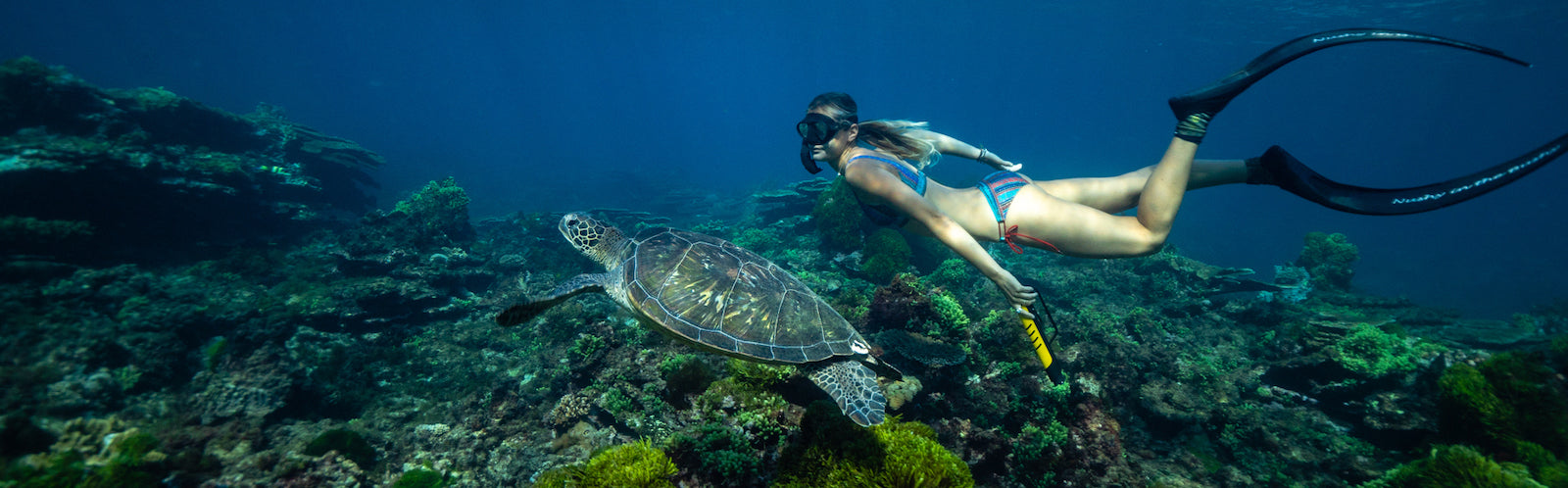 SNORKELING_WITH_TURTLE