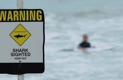 Shark Shield deterrent gets Choice tick of approval