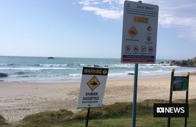 ABC News | Should NSW follow WA’s lead and introduce a rebate for personal shark deterrent devices?