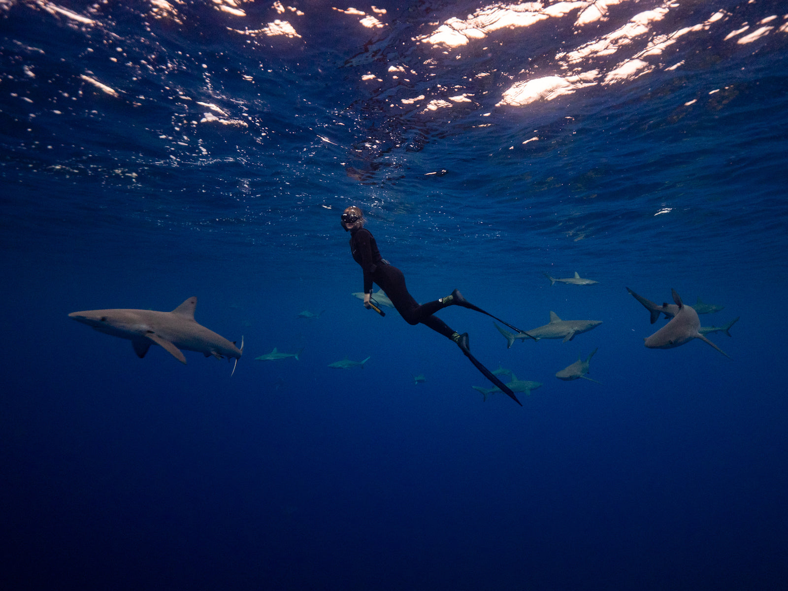 SNORKELING_UNDERWATER_WITH_SHARKS_4